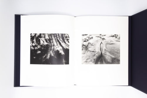 Where Ravens Cry, Jakob de Boer