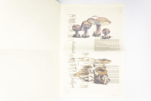Mycological-Foray-Variations-on-Mushrooms-John-Cage