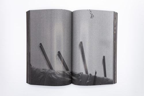 La bête, un conte moderne, Yasmina Benabderrahmane