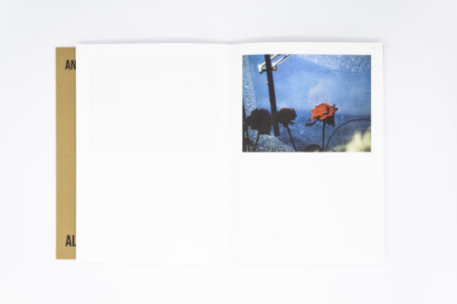 An attic full of trains, Alberto Di Lenardo