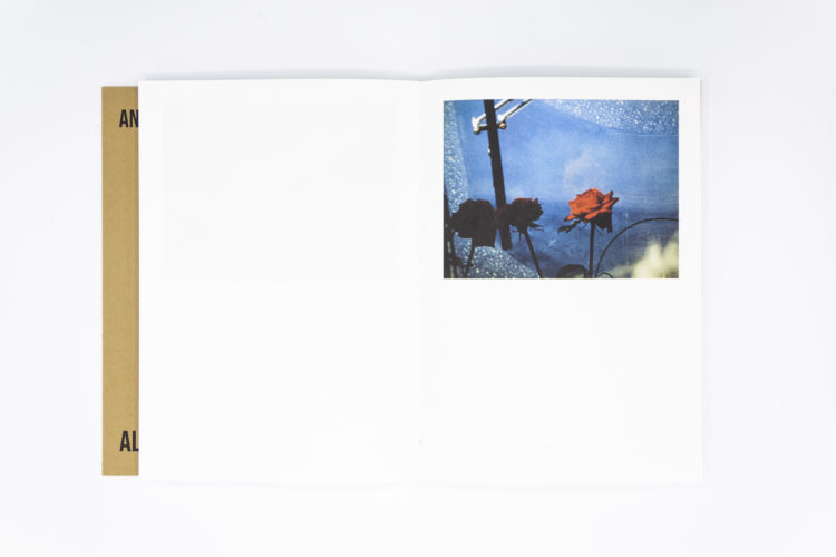 An attic full of trains, Alberto Di Lenardo