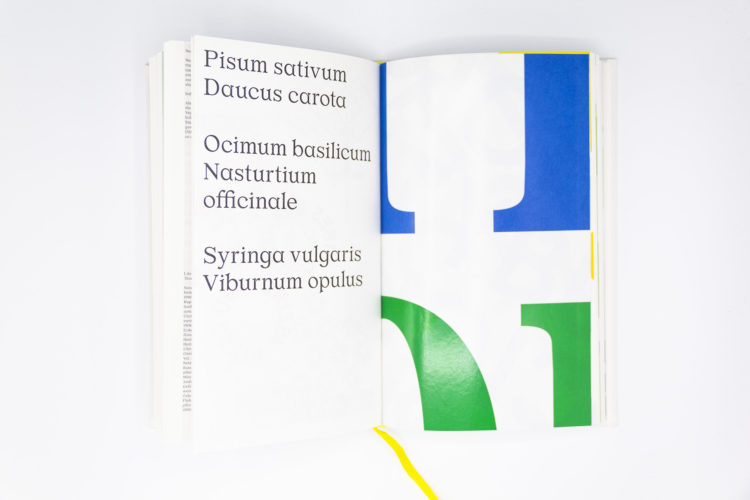 Migration und Planze, Silke Wagner