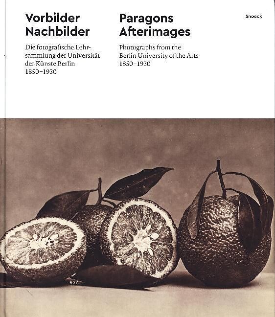 , Paragons Afterimages Photographs from the Berlin University of the Arts 1850-1930