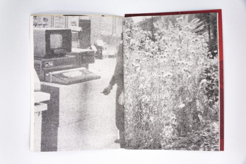 Dumitru, Michel Mazzoni