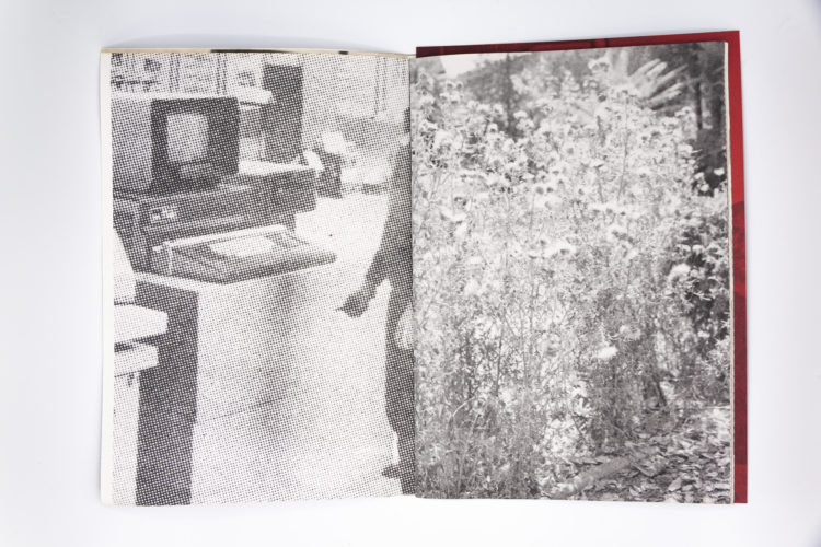 Dumitru, Michel Mazzoni