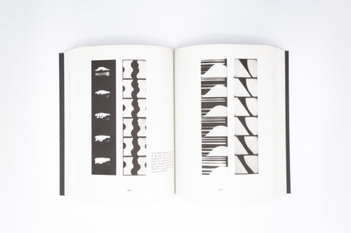 Cinéma Absolu Avant-Garde 1920-1930, Patrick de Haas