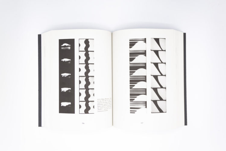 Cinéma Absolu Avant-Garde 1920-1930, Patrick de Haas