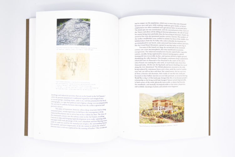 the-inner-life-of-forms-giuseppe-penone