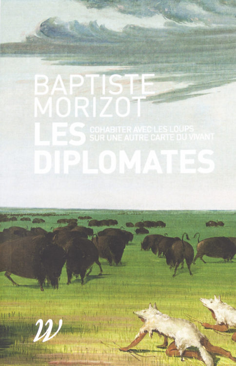 Les Diplomates, Cohabiter avec les loups sur une autre carte du vivant, Baptiste Morizot