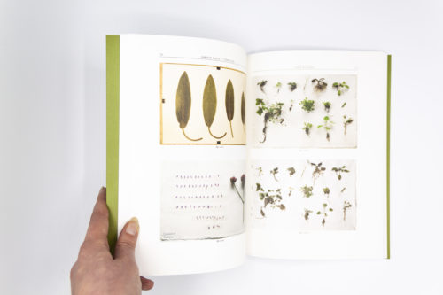 No-235-Encyclopedia-of-an-Allotment-Anne-Geene