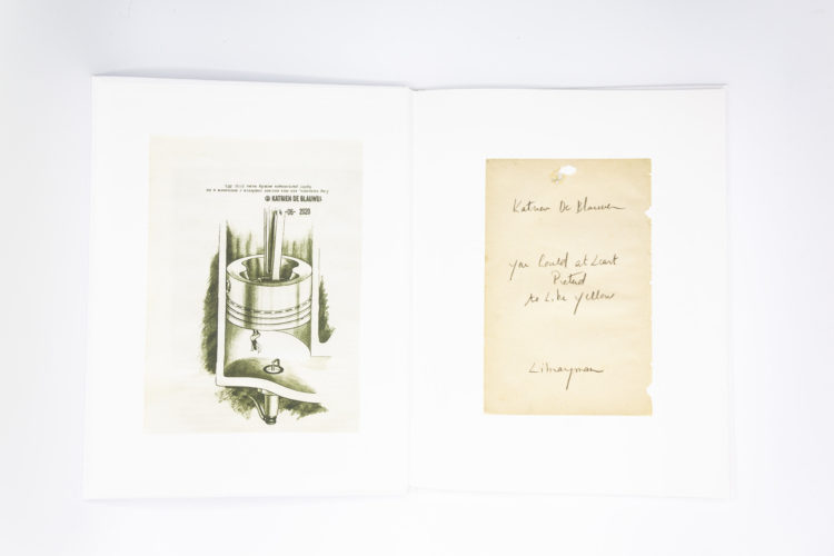 ou-could-at-least-pretend-you-like-yellow-Katrien-De-Blauwer