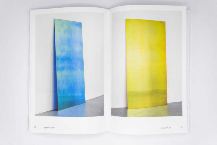 Serendipity, Ann Veronica Janssens