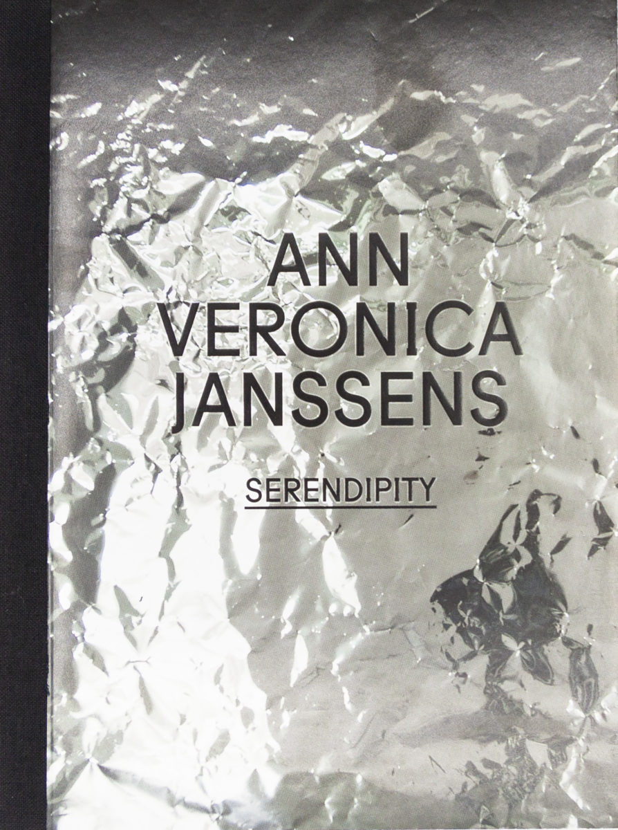 Ann Veronica Janssens, Serendipity