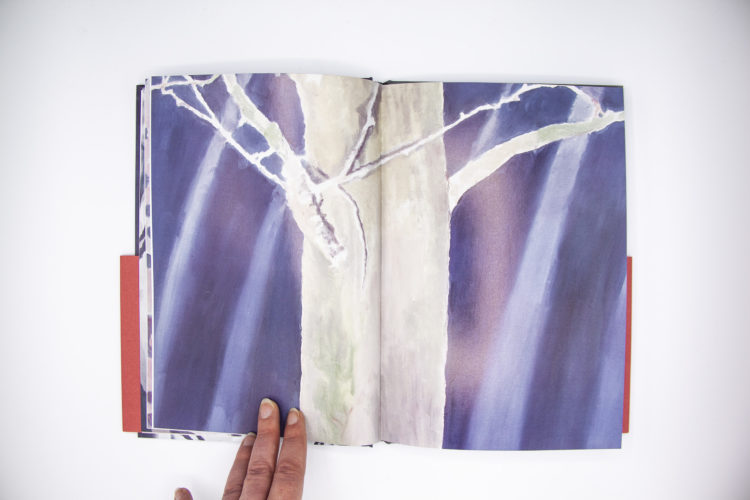 9781644230336-good-luck-luc-