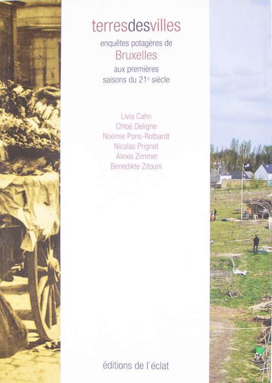 Terres des villes - enquêtes potagères de Bruxelles aux premières saisons du XXIe siècle