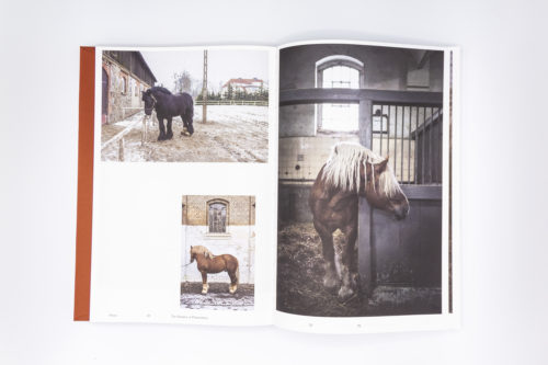 Horses, Heleen Peeters