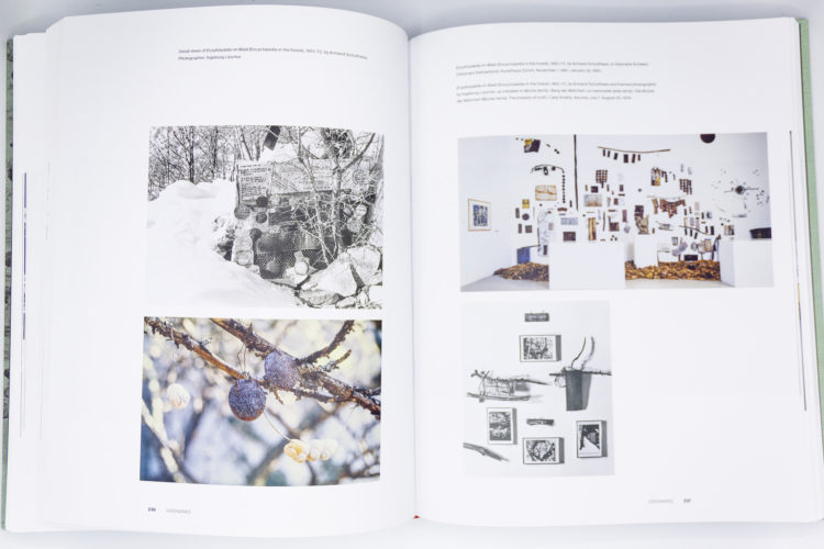 Museum of Obsessions, Harald Szeemann