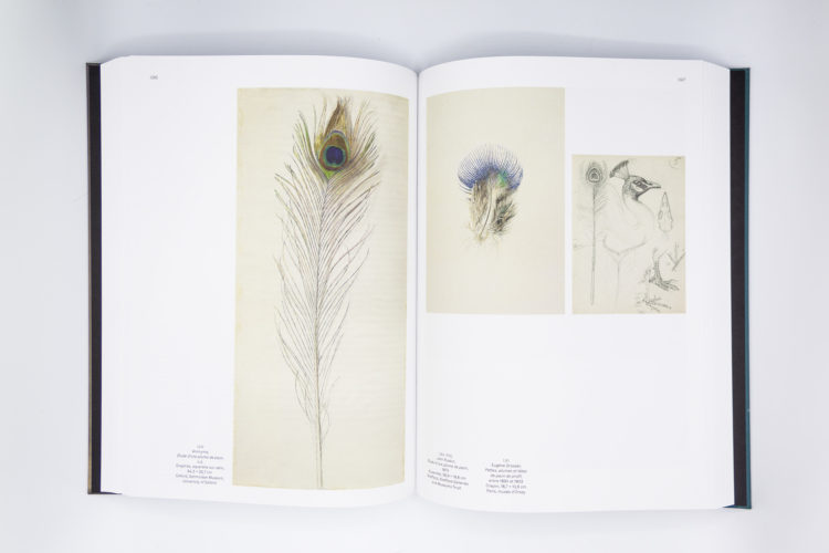 Les origines du monde, L'invention de la nature au XIXe siècle