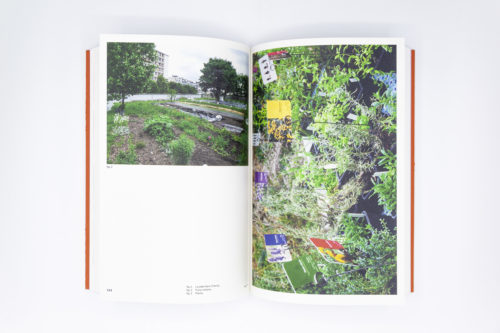 Identités du transitoire