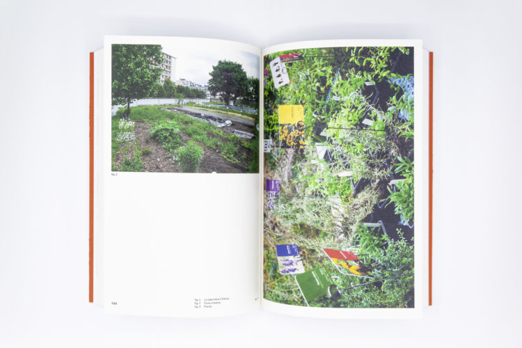 Identités du transitoire