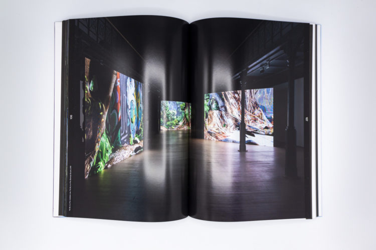 A certain amount of clarity, Emmanuel Van Der Auwera