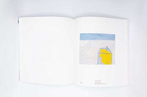 Too many words, Walter Swennen