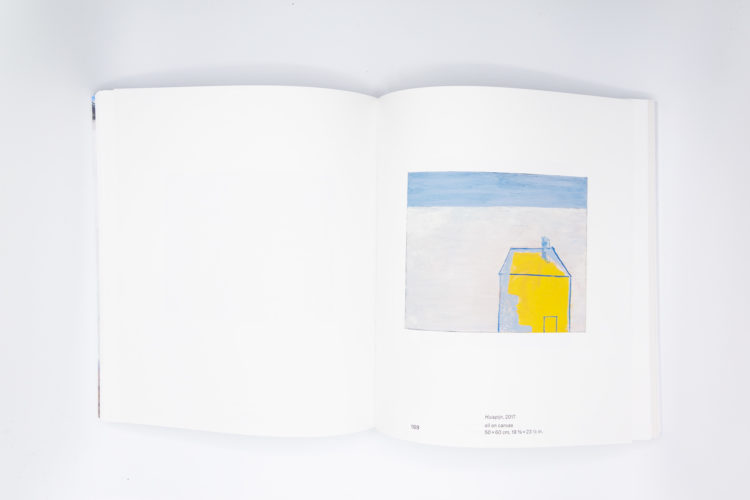 Too many words, Walter Swennen