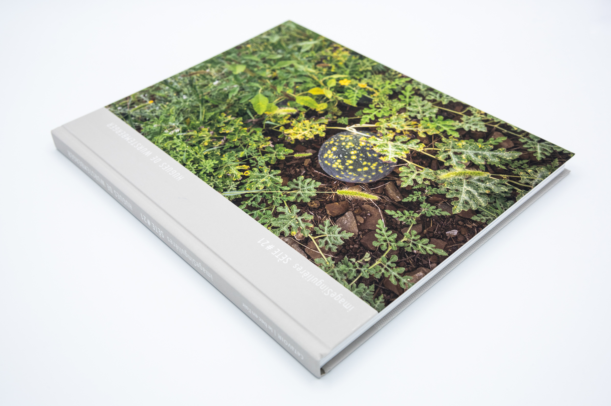 Hugues de Wurstemberger imageSingulières Sète#21 Posidonies