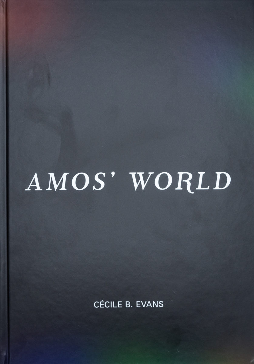 Cécile B. Evans, Amos' World 