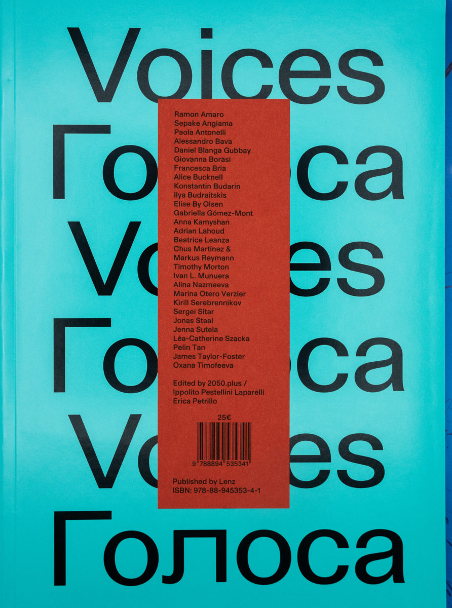 , Voices Towards Other Institutions