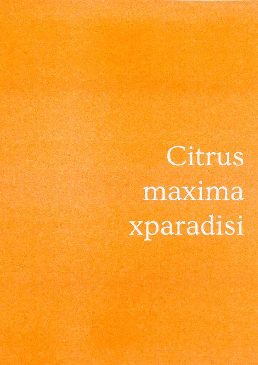 moilesautresart, Citrus maxima xparadisi - .psd numéro deux