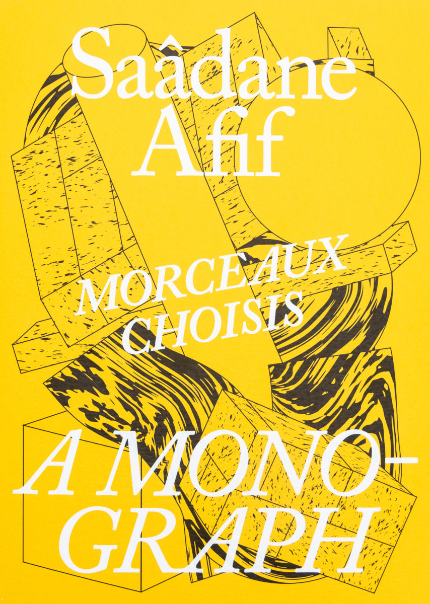 Saâdane Afif, Morceaux Choisis - A Monograph