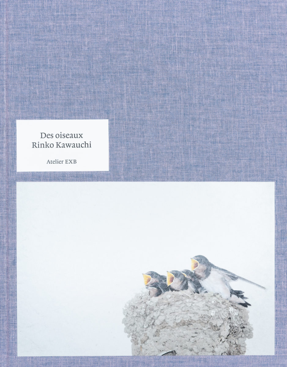 Guilhem Lesaffre, Des oiseaux - Rinko Kawauchi 