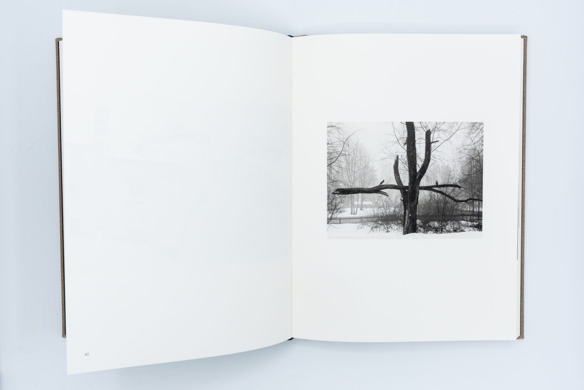 Me kaksi – Pentti Sammallahti – Peinture Fraiche