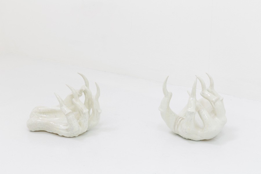 Naomi Gilon, La Femme en fourrure