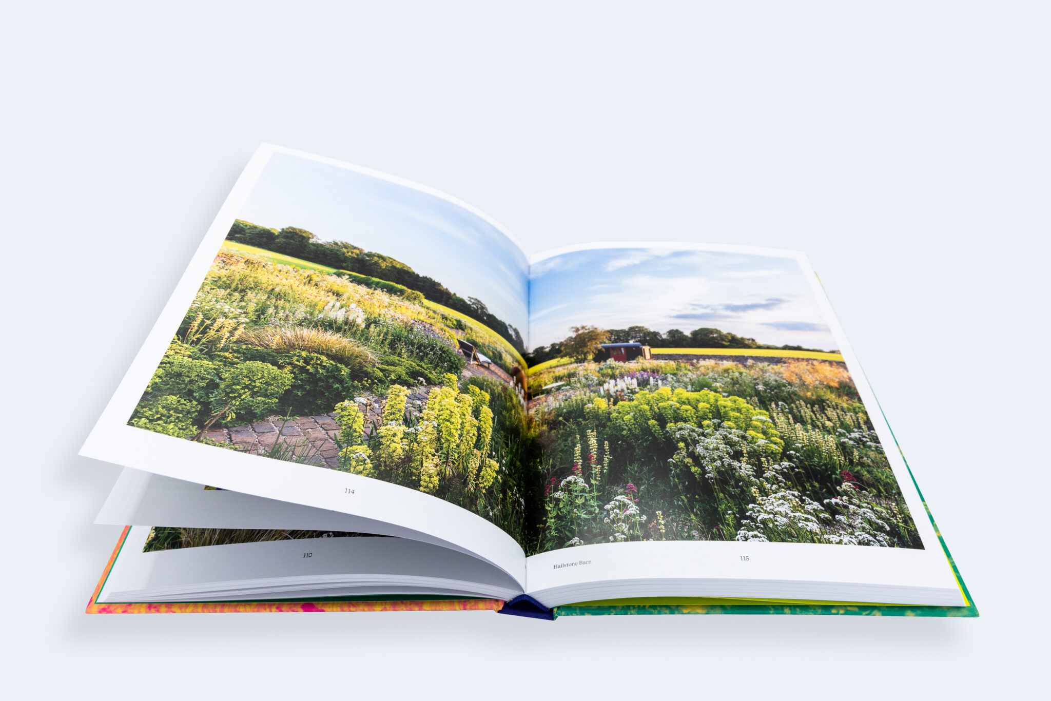 LIBRE: Le Jardin Naturaliste – Noel Kingsbury – Peinture Fraiche