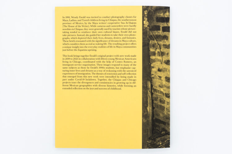 The Devil is leaving his Cave - Wendy Ewald. Mack. Peinture Fraiche