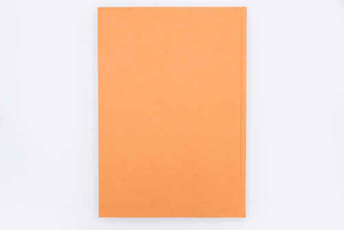 Dark Empathy - Shirley Villavicencio Pizango, Posture Editions, Peinture Fraiche