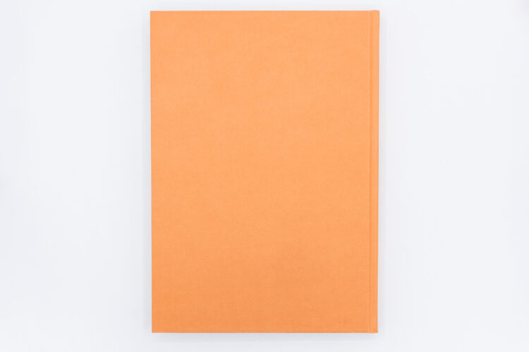 Dark Empathy - Shirley Villavicencio Pizango, Posture Editions, Peinture Fraiche