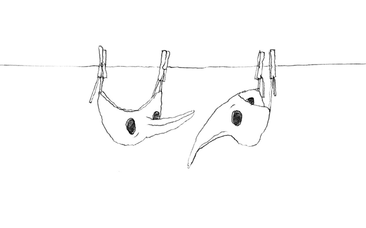 Carpe diem – Anne Wolfers