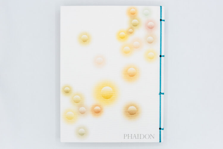 Iro: L'essence de la couleur dans le design japonais - Rossella Menegazzo, Phaidon, Peinture Fraiche