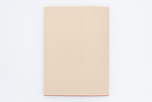 Verdigris - Harold Strak, Van Zoetendaal Publishers, Peinture Fraiche