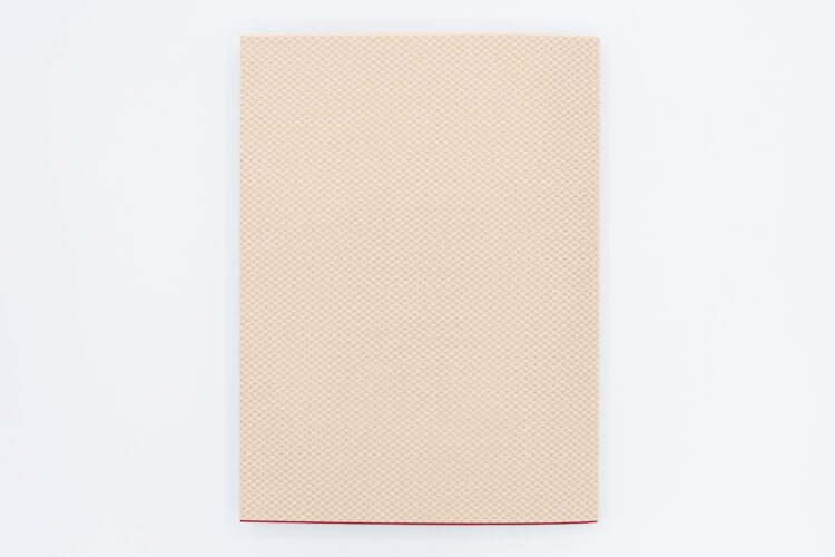 Verdigris - Harold Strak, Van Zoetendaal Publishers, Peinture Fraiche