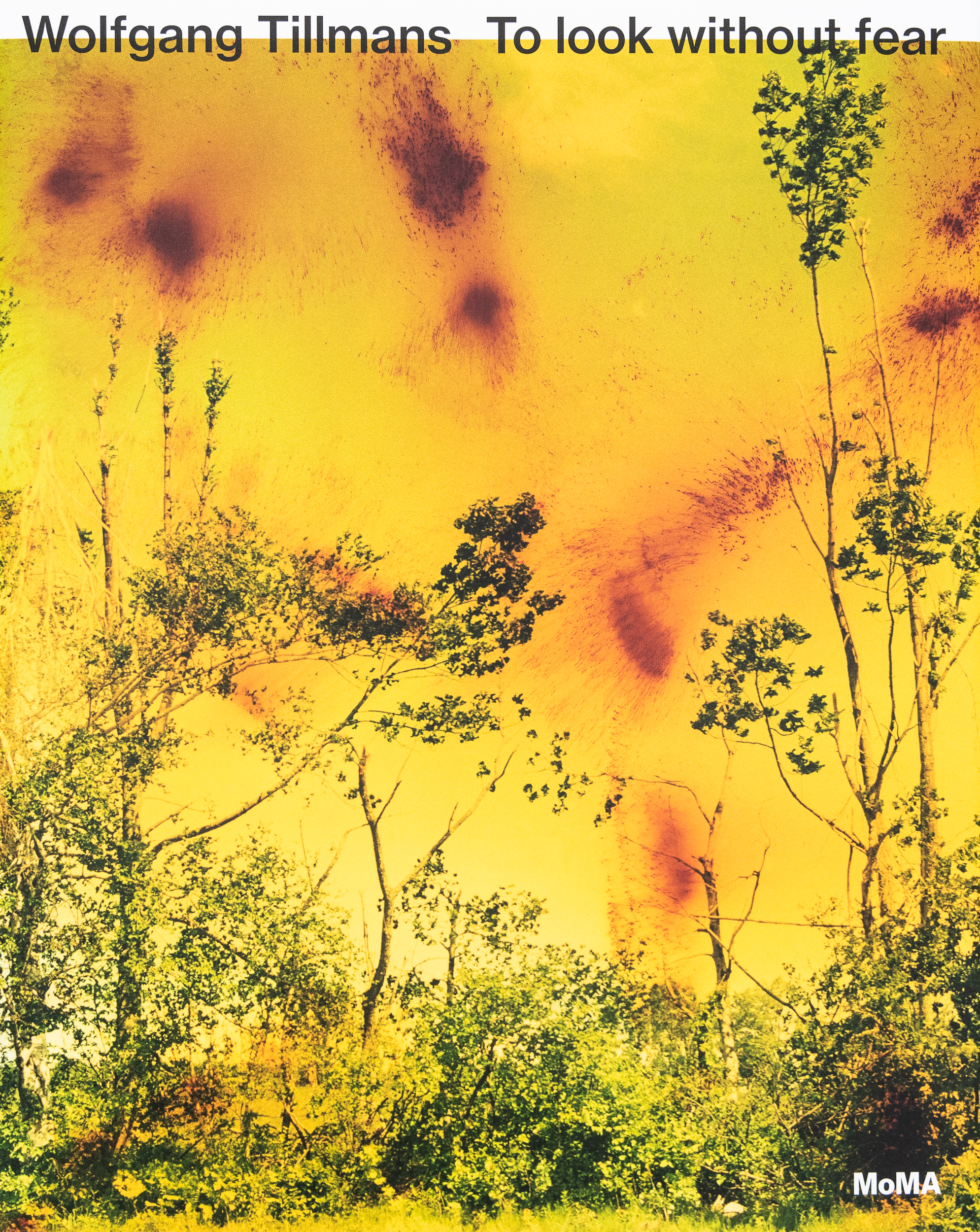 To look without fear – Wolfgang Tillmans – Peinture Fraiche