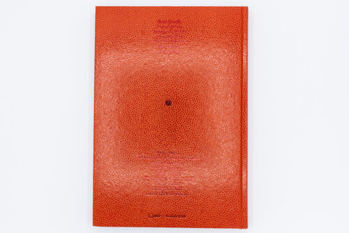 Love songs - Photographies de l'intime, Editions Xavier Barral, Maison Européenne de la Photographie, Peinture Fraiche