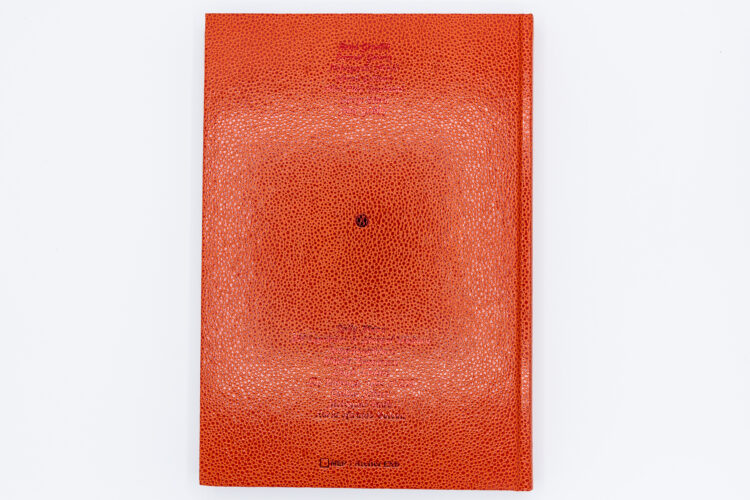 Love songs - Photographies de l'intime, Editions Xavier Barral, Maison Européenne de la Photographie, Peinture Fraiche