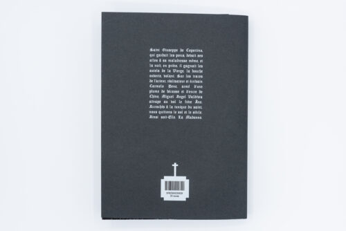 Le Divin trébuchement - Miguel Angel Valdivia, Frémok, Peinture Fraiche