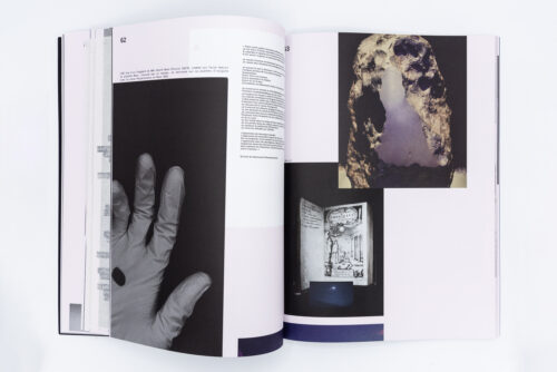 Desiserea Nuncia - Smith, Lucien Raphamaj, Diplomates, Palais Books, Peinture Fraiche