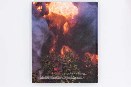 The Silence of the Lens - David Claerbout, Hannibal, Peinture Fraiche