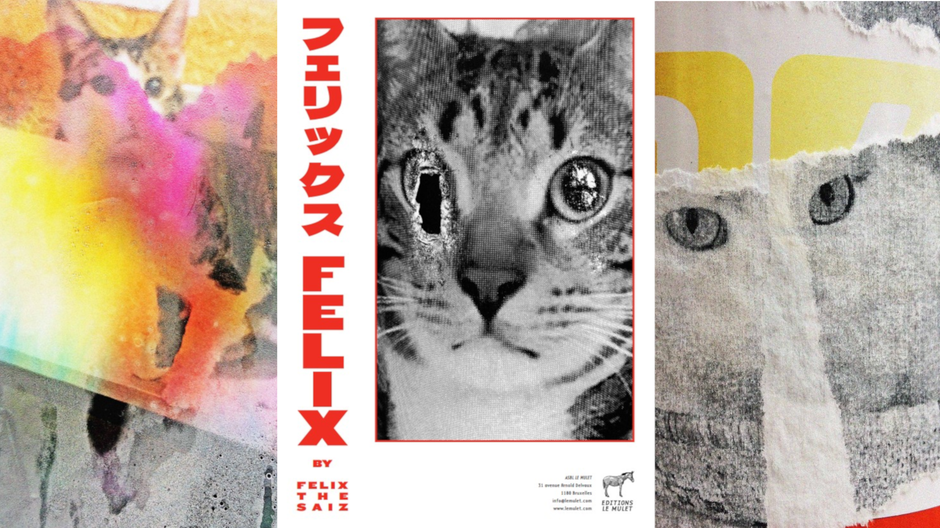 Felix – Felix the Saiz